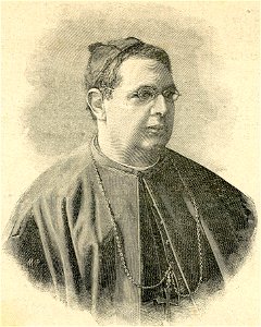 Monsignor Geremia Bonomelli, vescovo di Cremona