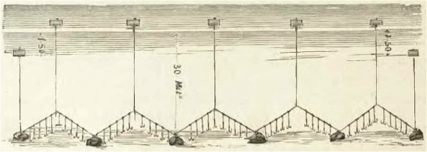Montpetit - Poissons d'eau douce du Canada, 1897 (page 420 crop)