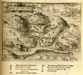 Mons Olivarum - Zuallart Jean - 1587