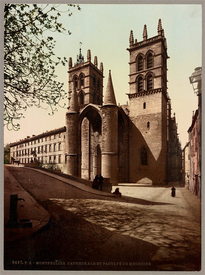 Montpellier. Cathédrale et Faculté de Médecine LCCN2017659795