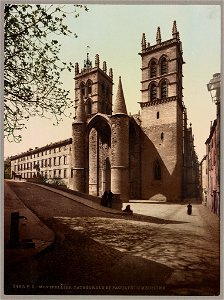 Montpellier. Cathédrale et Faculté de Médecine LCCN2017659795