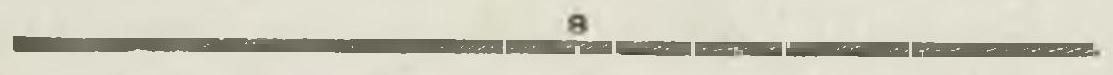 Montpetit - Poissons d'eau douce du Canada, 1897 (page 431 crop) fig 144