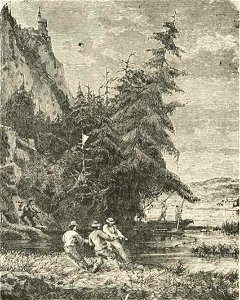 Montpetit - Poissons d'eau douce du Canada, 1897 (page 497 crop)