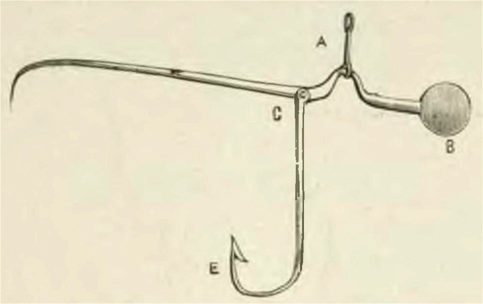 Montpetit - Poissons d'eau douce du Canada, 1897 (page 403 crop) fig 91
