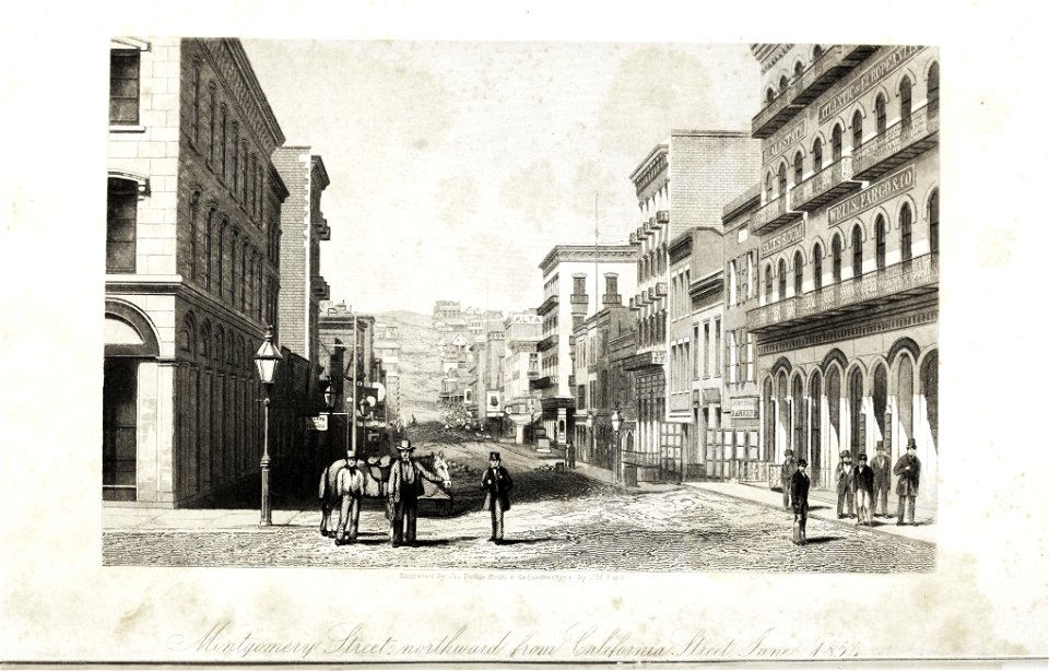 Montgomery street, San Francisco, north, from California street