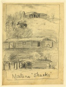 Montana shacks LCCN2004661683