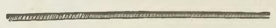 Montpetit - Poissons d'eau douce du Canada, 1897 (page 414 crop) fig 112