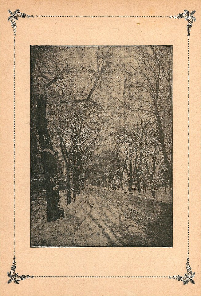 Montbrillant-1894-Mac Mahon-a18