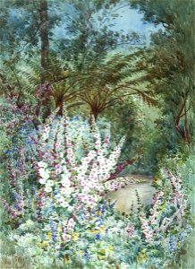 Minnie Izett - A New Zealand Garden - Sarjeant Gallery