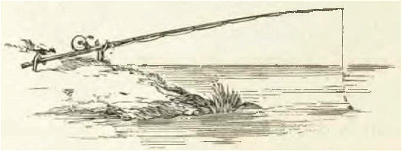 Montpetit - Poissons d'eau douce du Canada, 1897 (page 450 crop)
