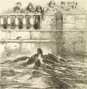 Montpetit - Poissons d'eau douce du Canada, 1897 (page 540 crop)