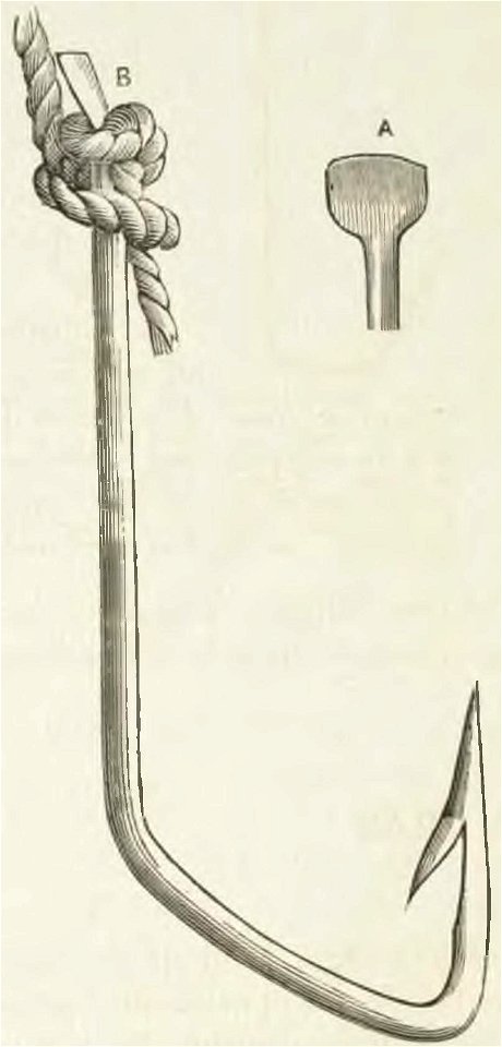 Montpetit - Poissons d'eau douce du Canada, 1897 (page 400 crop) fig 83