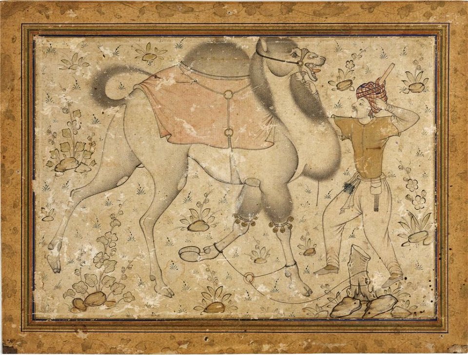 Mir Sayyid Ali (attr),Tethered Camel and Rider ca. 1535, Fogg Art Museum, Cambridge