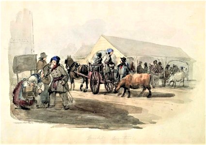 Montreal Market