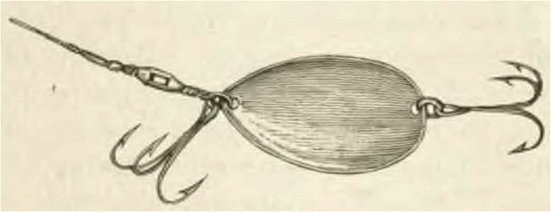 Montpetit - Poissons d'eau douce du Canada, 1897 (page 407 crop)