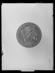 Minnespenning Östgötafänikor - Livrustkammaren - 27908