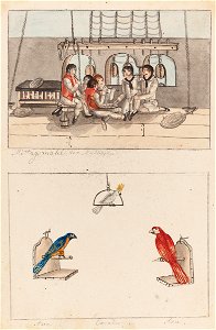 Mittagsmahl der Matrasen - tra. Cacadu. Tra, da Coleção Brasiliana Iconográfica