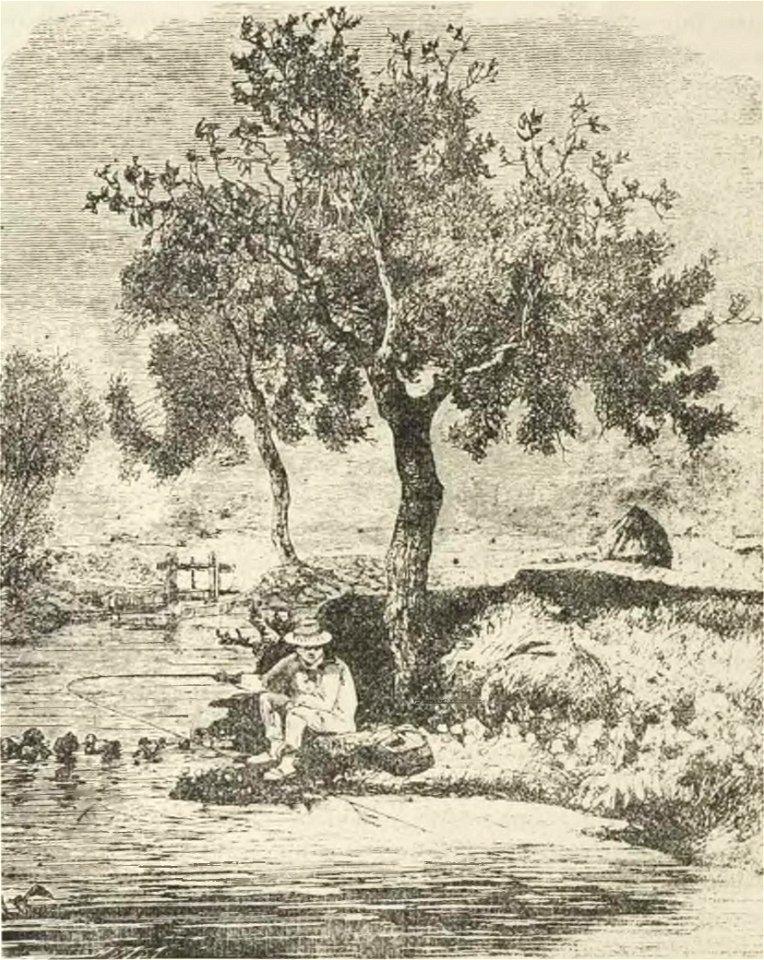 Montpetit - Poissons d'eau douce du Canada, 1897 (page 551 crop)