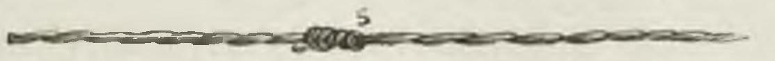 Montpetit - Poissons d'eau douce du Canada, 1897 (page 431 crop) fig 145