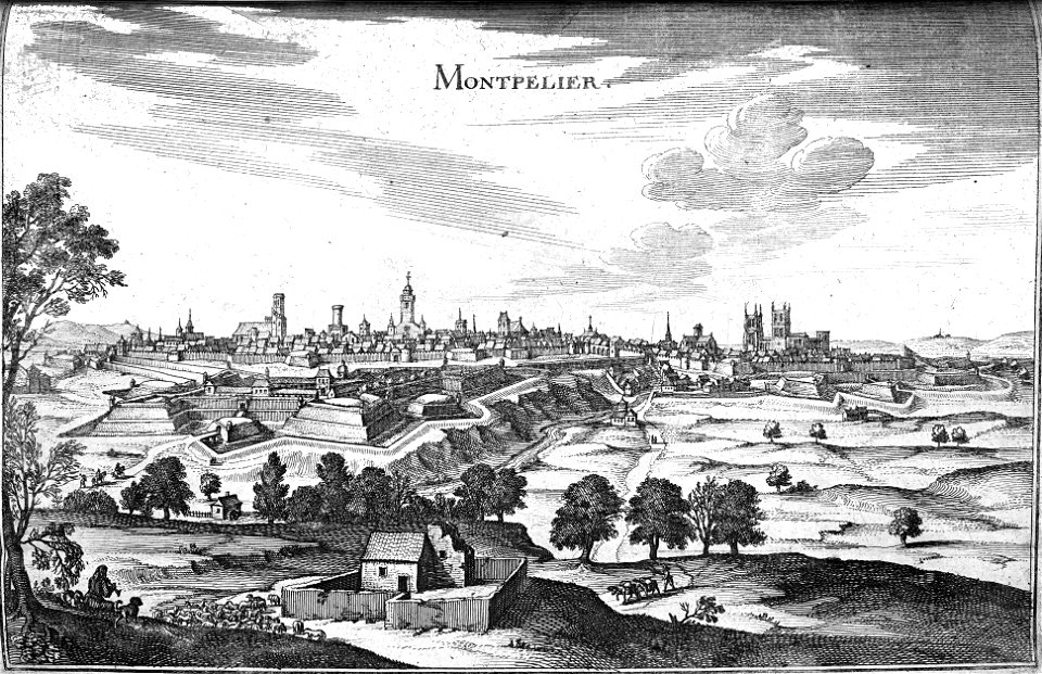 Montpellier 1661 Zeiller 15232