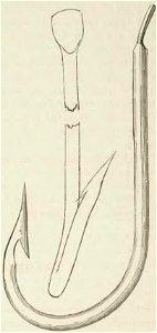 Montpetit - Poissons d'eau douce du Canada, 1897 (page 400 crop) fig 84
