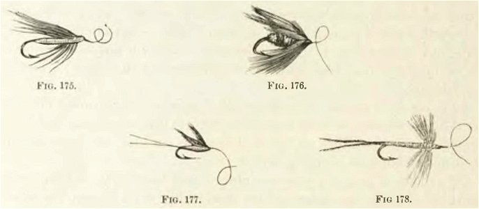 Montpetit - Poissons d'eau douce du Canada, 1897 (page 464 crop)