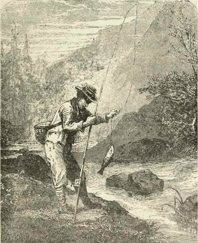 Montpetit - Poissons d'eau douce du Canada, 1897 (page 475 crop)