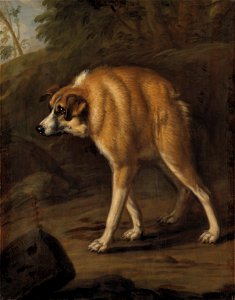 Missbildad hund (David Klöcker Ehrenstrahl) - Nationalmuseum - 77448