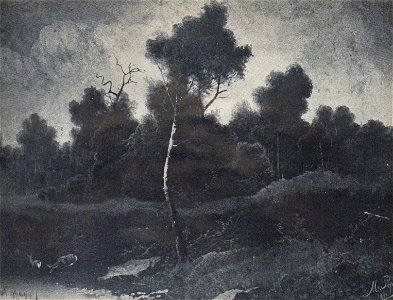 Misu Popp - Peisaj de padure