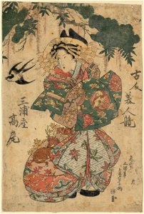 Miuraya takao LCCN2008660658
