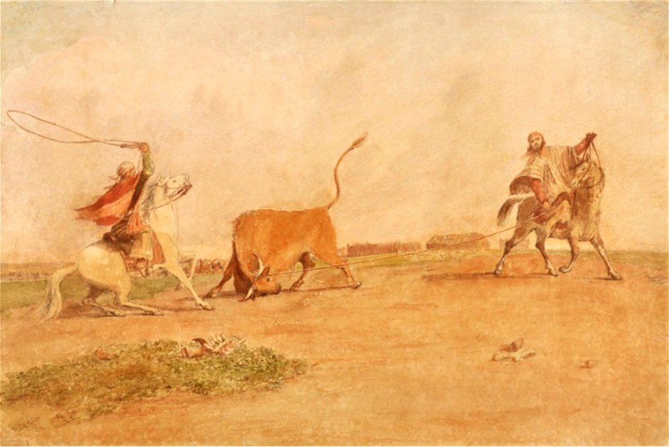 Mode of Lazoing Cattle in Buenos Ayres. Drawn for the Lady P., 1929
