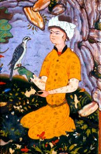 Mirza Ali 001