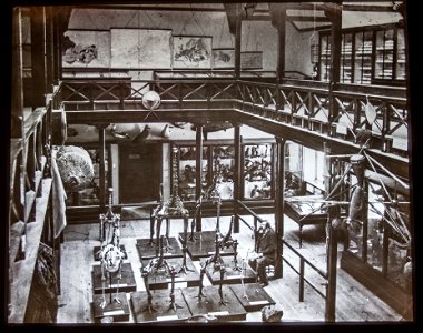 Moa skeletons exhibition, 1870, Canterbury Museum, 2016-01-27