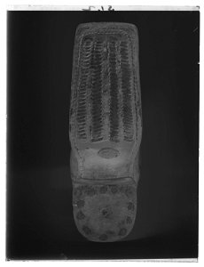 Modellstövel - Livrustkammaren - 45249-negative