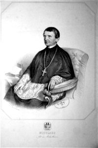 Nikolaus Thalhammer Litho