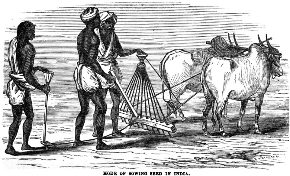 Mode of sowing seed in India - Richard G Hodson, Bangalore (XV, April 1858, p.38) - Copy