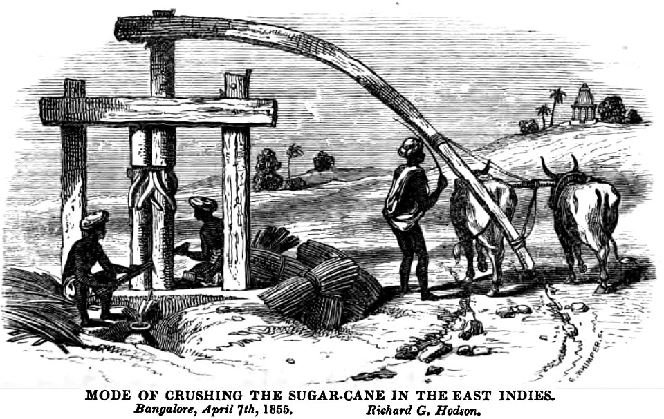 Mode of Crushing the Sugar-Cane in the East Indies (July 1855, XII, p.72, Richard G Hodson, 7 April 1855, Bangalore) - Copy