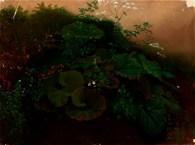 Nils Jakob Olsson Blommér - Kasveja, harjoitelma - A I 456-7 - Finnish National Gallery
