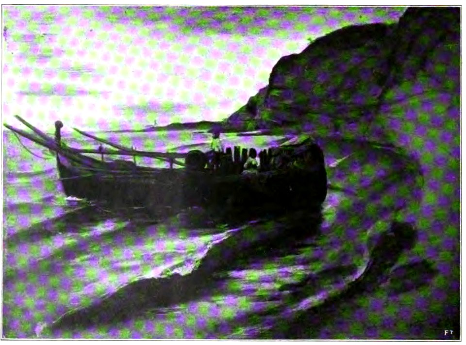 Nino Costa. Studio dal vero B