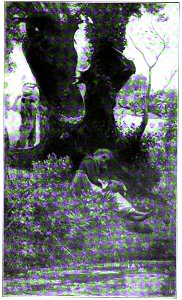 Nino Costa. La musica nel bosco