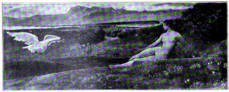 Nino Costa - Leda