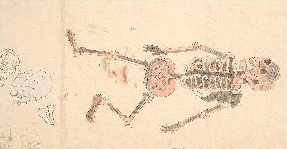 Nine Stages of Decomposition of the Heian Period Empress Danrin, Honolulu Museum of Art III
