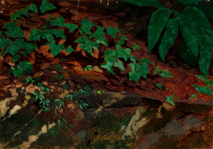 Nils Jakob Olsson Blommér - Harjoitelma, lehtiä - A I 456-10 - Finnish National Gallery