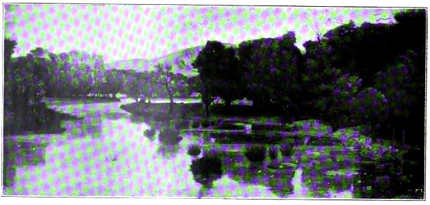 Nino Costa - Il Fiume Morto
