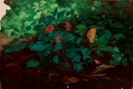 Nils Jakob Olsson Blommér - Kukkia ja kasveja, harjoitelma - A I 456-9 - Finnish National Gallery