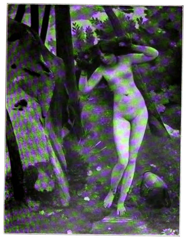 Nino Costa. Alla fonte