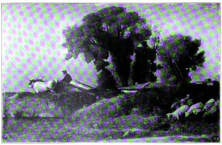 Nino Costa - La Vaga Loggia (Firenze)