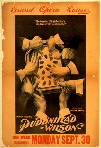 Mark Twain's Pudd'nhead Wilson dramatized by Frank Mayo. LCCN2014635972