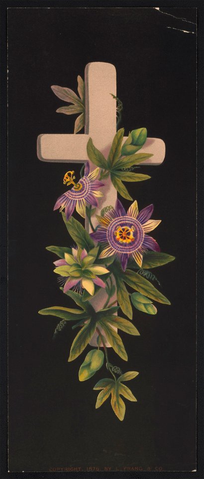 No. 42, Prang's crosses in mats - after Mrs. O.E. Whitney. LCCN2016652314