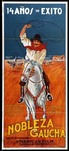 Nobleza Gaucha- poster